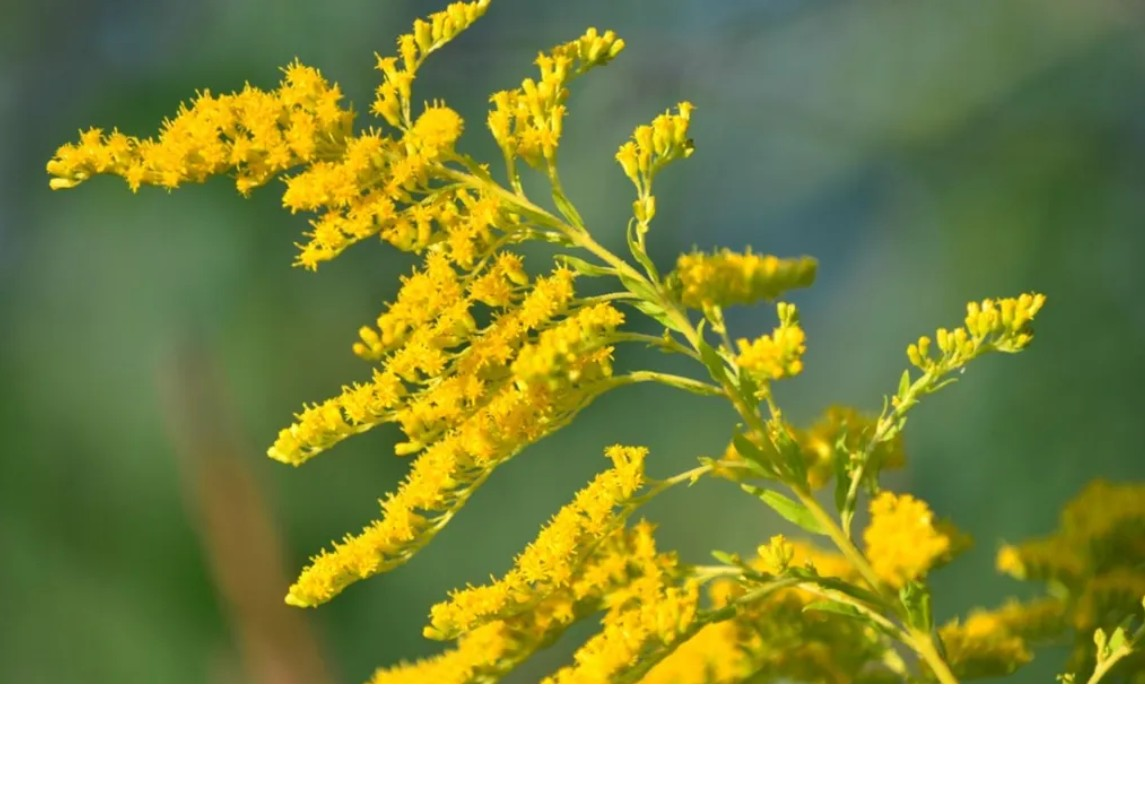 Sitting With Sadness